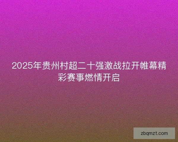 2025年贵州村超二十强激战拉开帷幕精彩赛事燃情开启